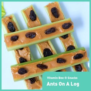 Ants On A Log